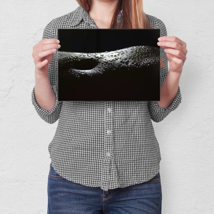 Poster metal Erotyk gift