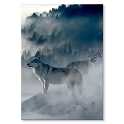 Plakat metalowy Wilki we mgle Prezent