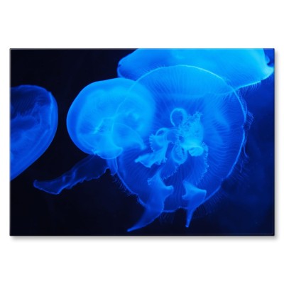 Poster metal Meduzy w ciemności gift