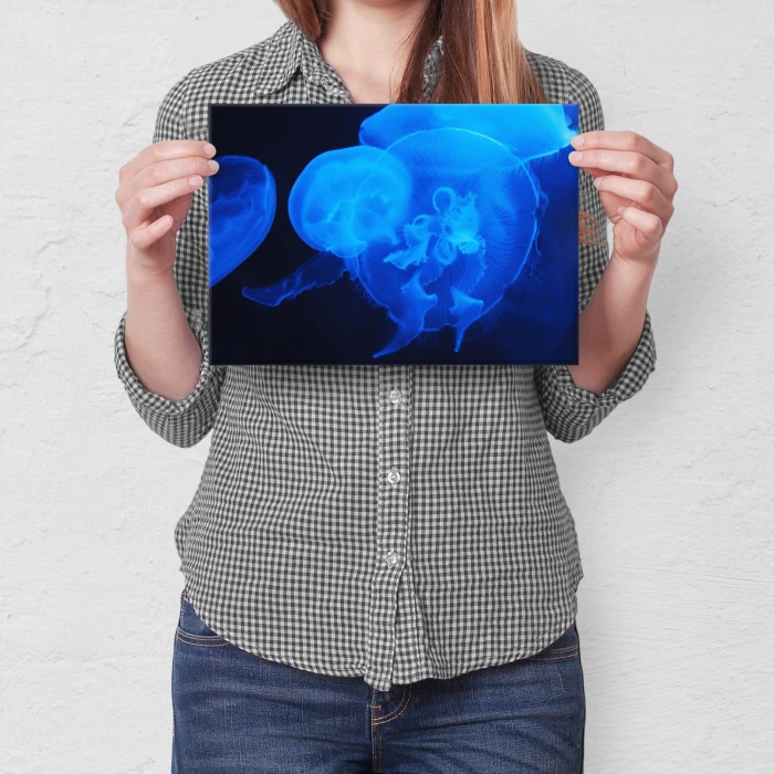 Poster metal Meduzy w ciemności gift