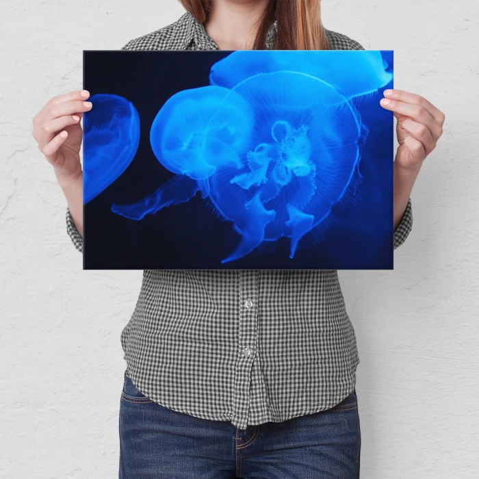 Plakat metalowy Meduzy w ciemności Prezent