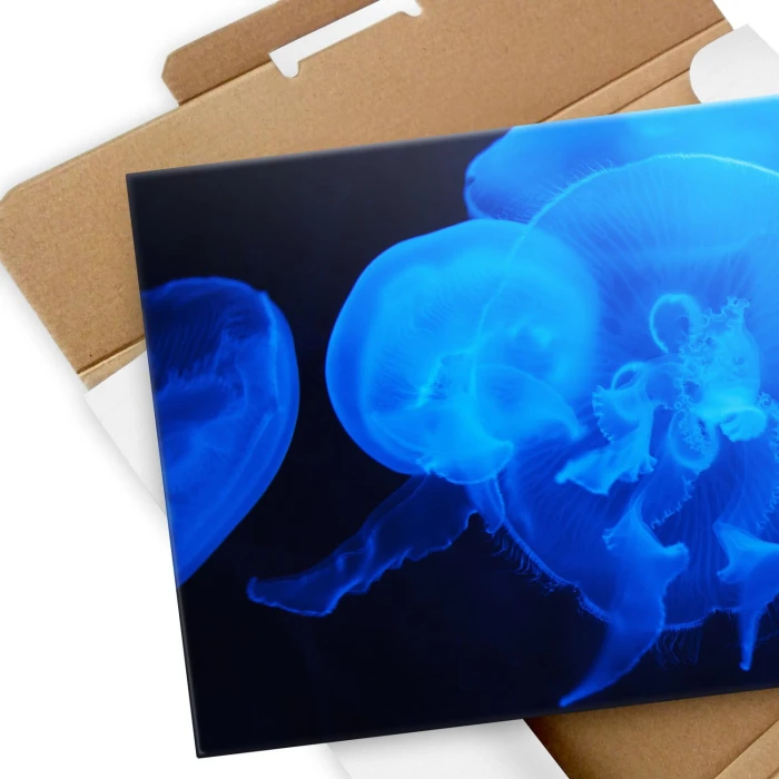 Poster metal Meduzy w ciemności gift