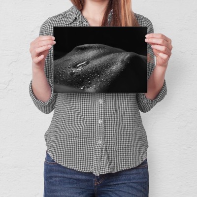 Poster metal Erotyk gift
