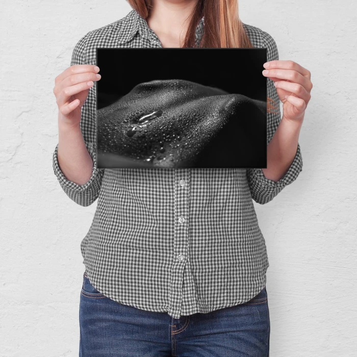 Poster metal Erotyk gift