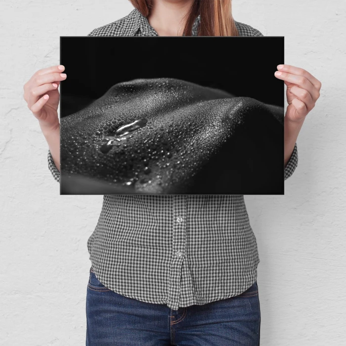 Poster metal Erotyk gift