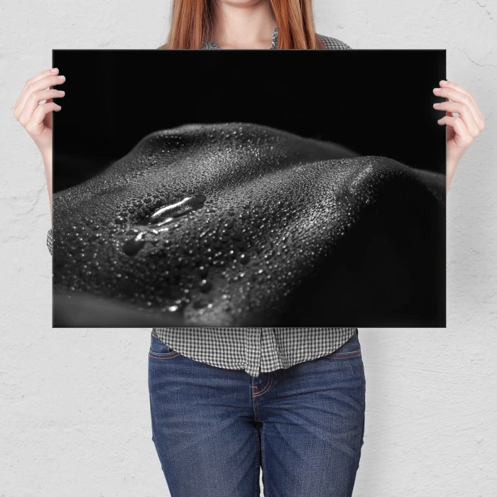 Poster metal Erotyk gift