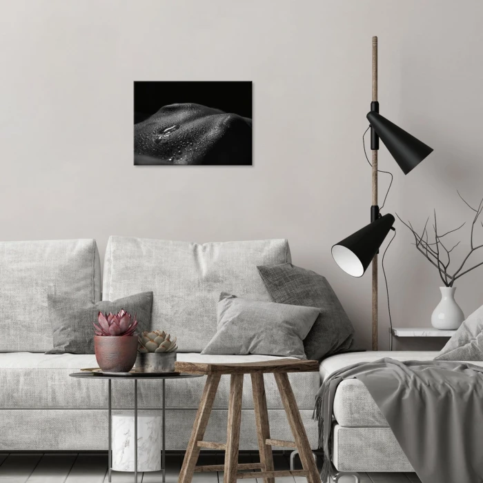 Poster metal Erotyk gift