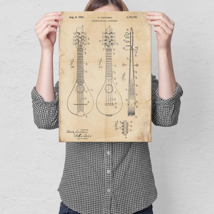 Poster metal Stringed Instrument Retro gift