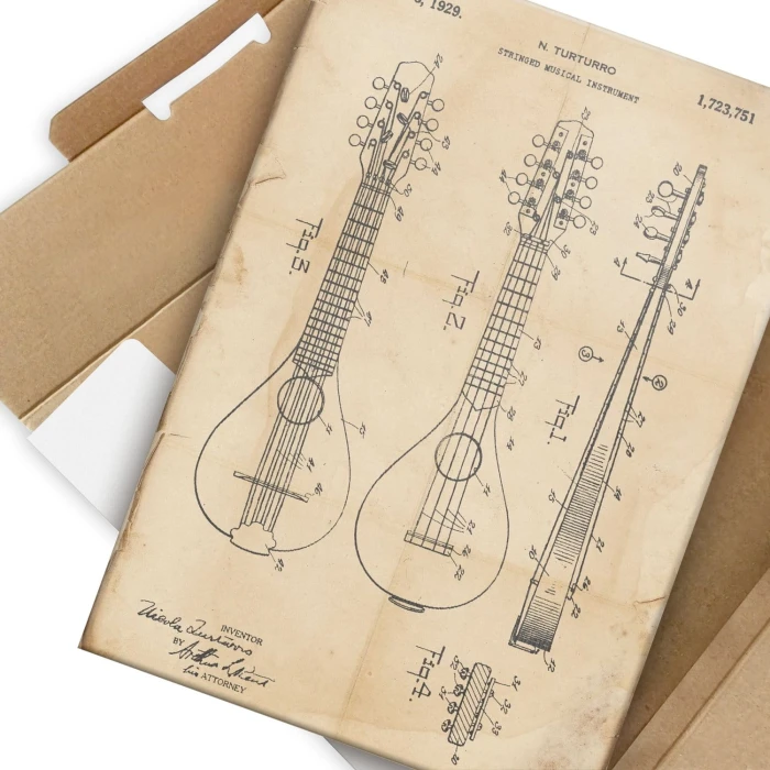 Plakat metalowy Stringed Instrument Retro Prezent