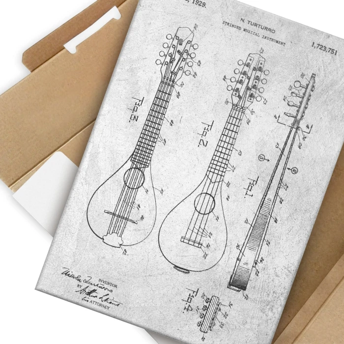 Plakat metalowy Stringed Instrument Stone Prezent
