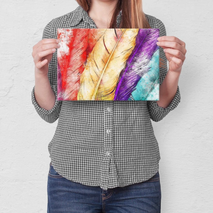 Poster metal Colour feathers gift