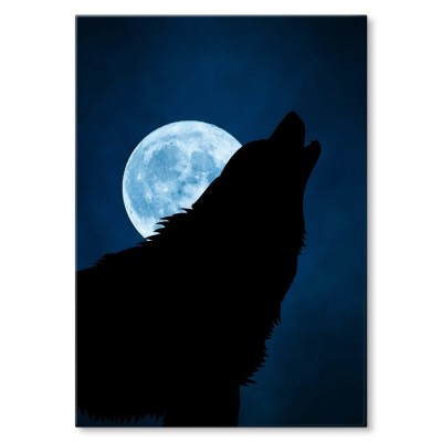 Plakat metalowy Wolf and moon Prezent