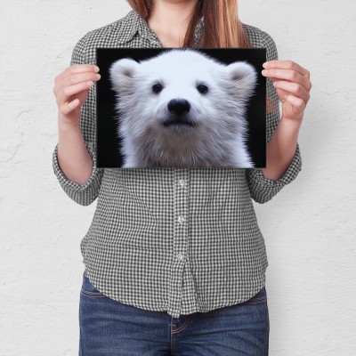 Poster metal white bear gift