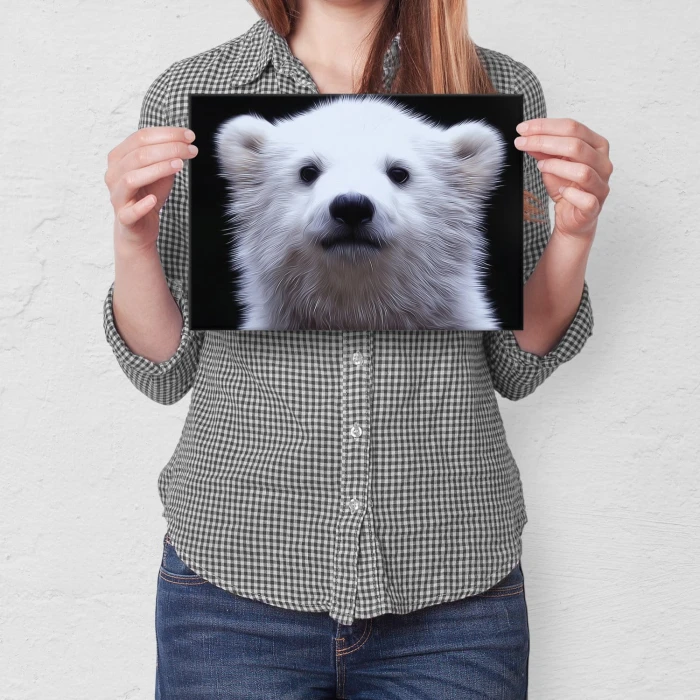 Poster metal white bear gift