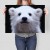 Poster metal white bear gift