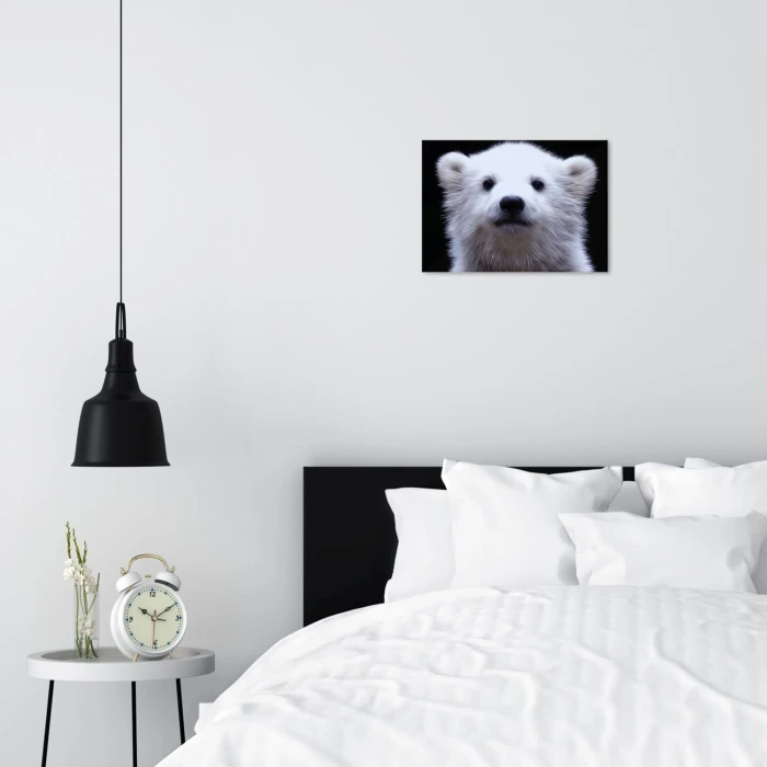 Poster metal white bear gift