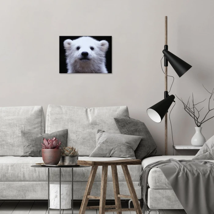 Poster metal white bear gift