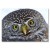 Plakat metalowy Big owl Prezent
