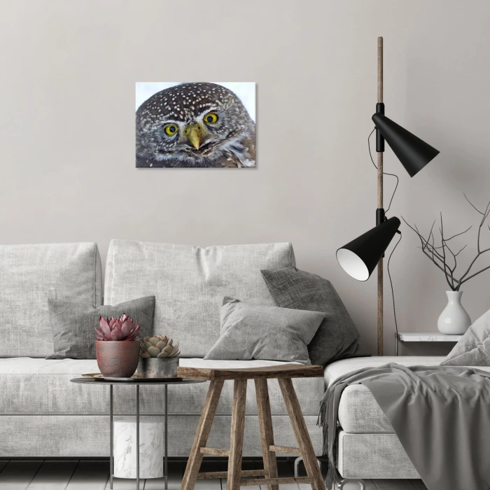 Plakat metalowy Big owl Prezent