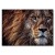 Plakat metalowy big lion Prezent