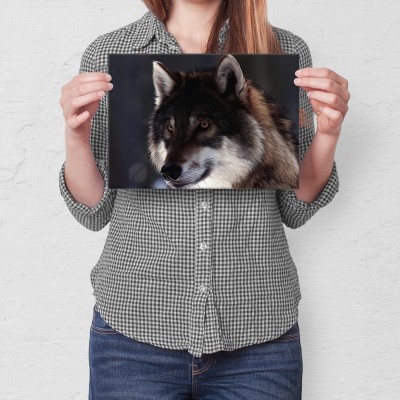 Poster metal Wolf natural gift