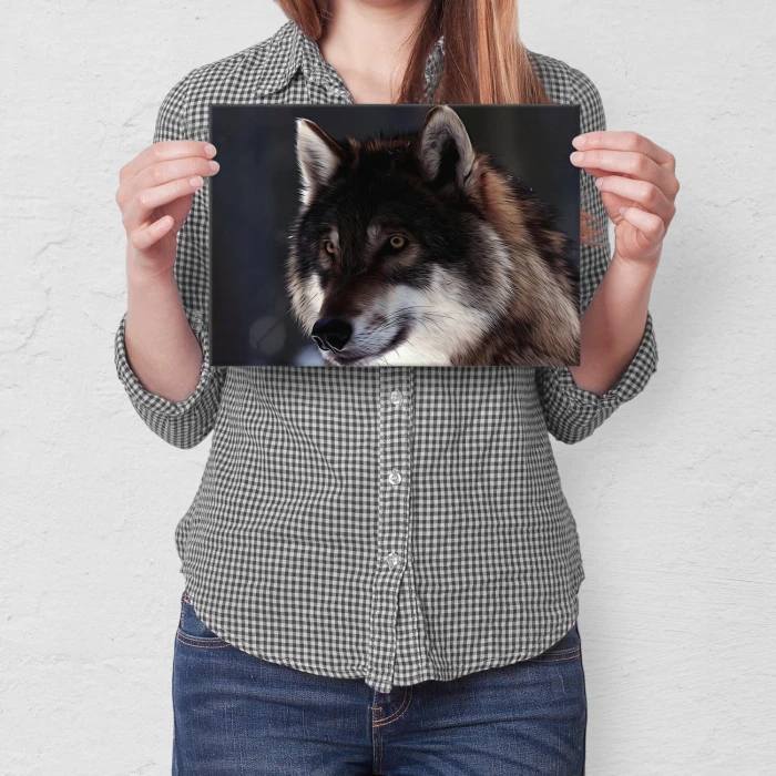 Plakat metalowy Wolf natural Prezent