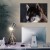 Plakat metalowy Wolf natural Prezent