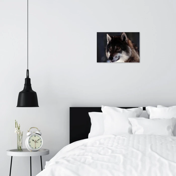 Plakat metalowy Wolf natural Prezent