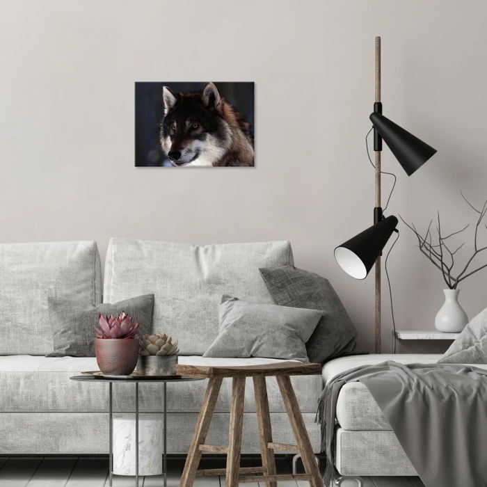 Poster metal Wolf natural gift