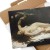 Poster metal Woman and Parrot Courbet gift