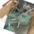 Poster metal Dancer in green Degas gift