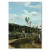 Poster metal Country road Pissarro gift