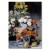 Poster metal Mixed flowers Renoir gift