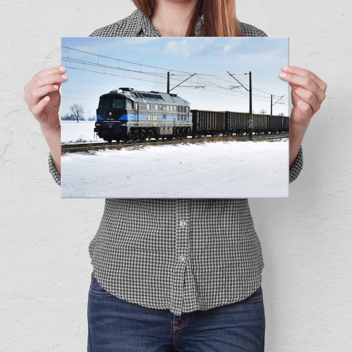 Poster metal BR233 689-9 gift