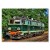 Poster metal ET22-003 gift