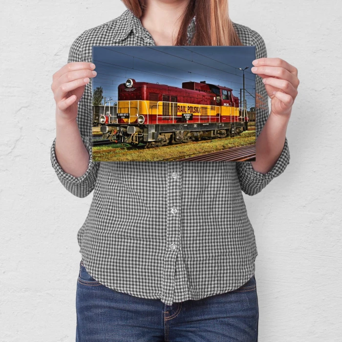 Poster metal SM42-2549 gift