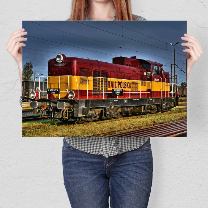 Poster metal SM42-2549 gift