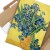 Poster metal Irises Vincent van Gogh gift