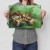 Poster metal Crab on its back van Gogh gift