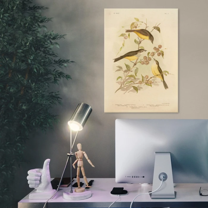 Plakat metalowy Retro atlas Ptaki XXVII Prezent