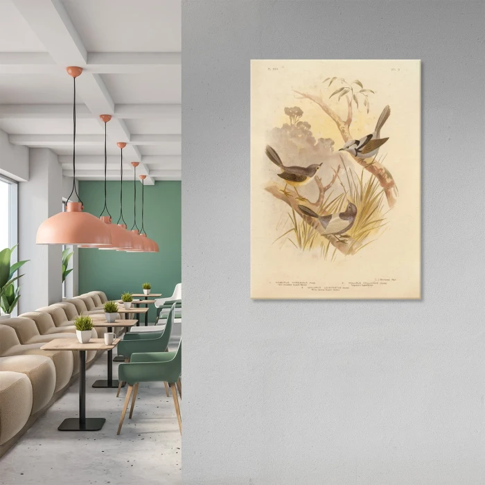 Plakat metalowy Retro atlas Ptaki XXII Prezent