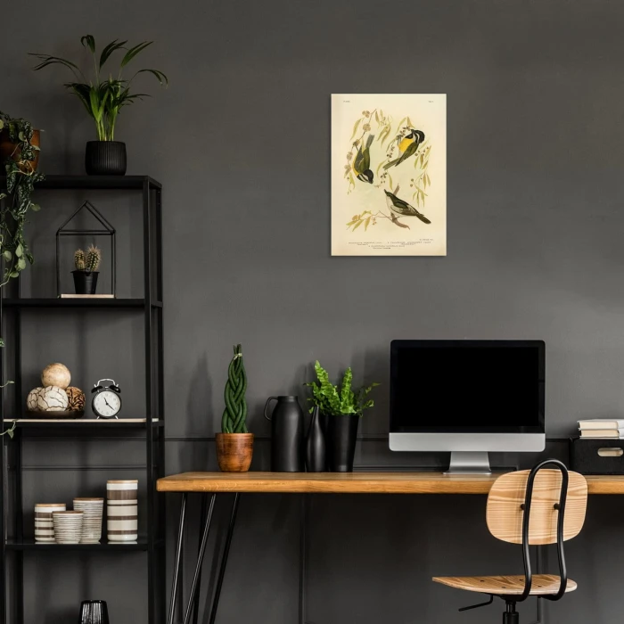 Plakat metalowy Retro atlas Ptaki XLVII Prezent