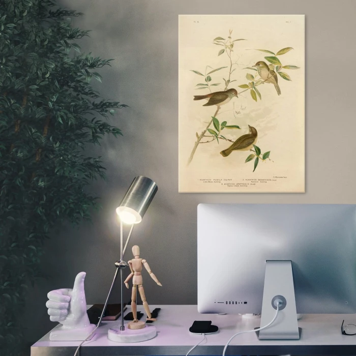 Poster metal Retro atlas Ptaki XI gift