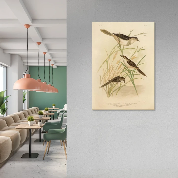 Poster metal Retro atlas Ptaki VI gift