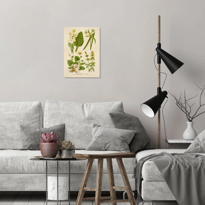Poster metal Retro atlas Rośliny VI gift