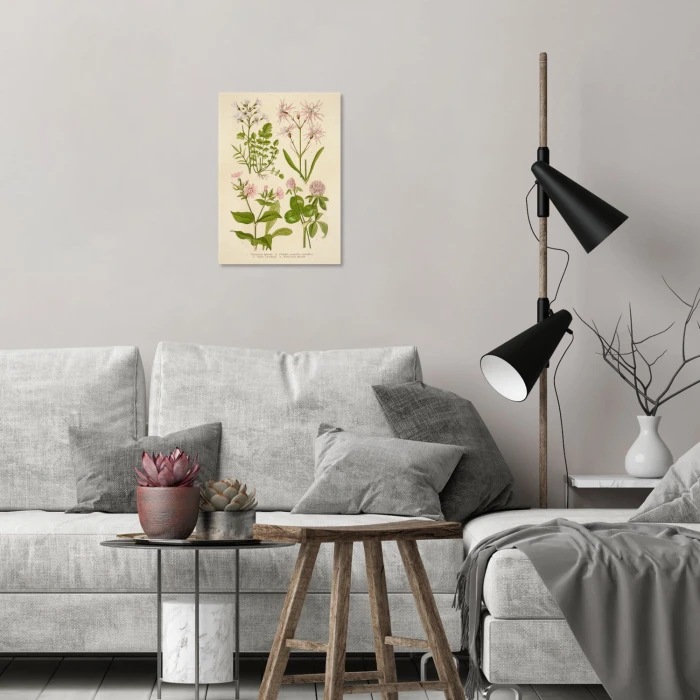 Plakat metalowy Retro atlas Rośliny VIII Prezent