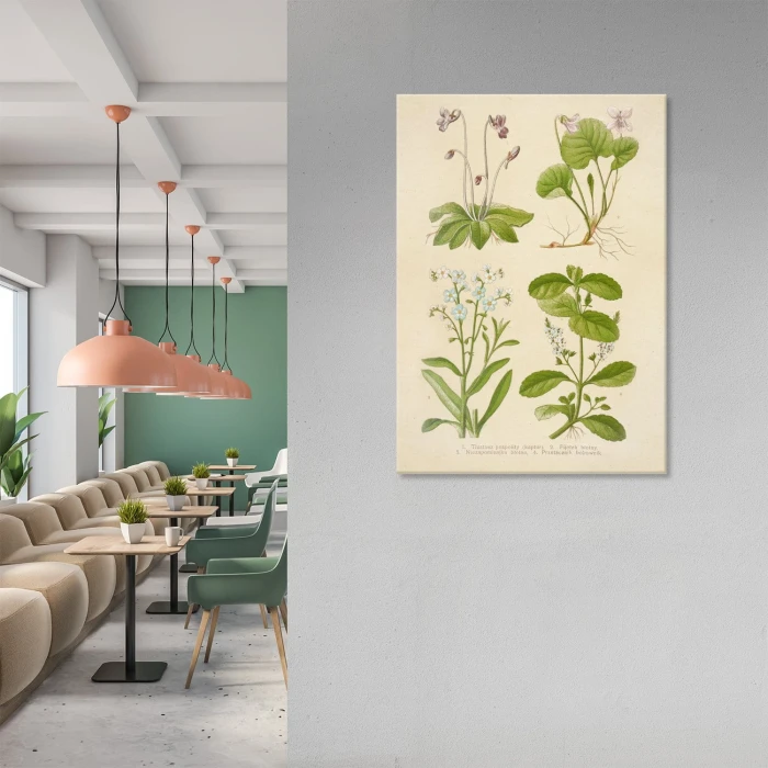 Poster metal Retro atlas Rośliny X gift
