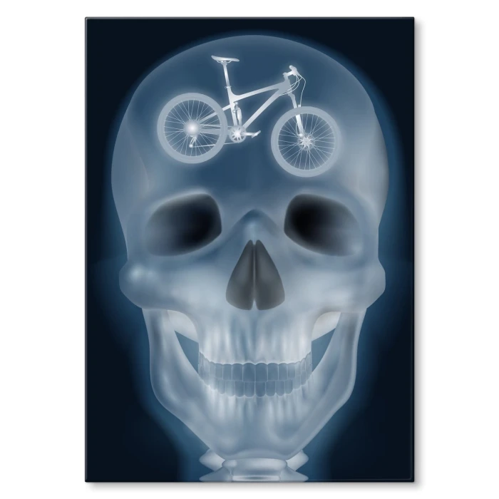 Poster metal xray bike gift