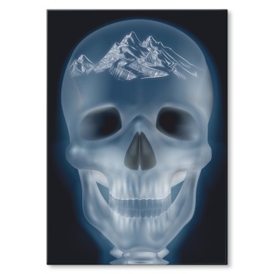 Plakat metalowy xray mountains Prezent