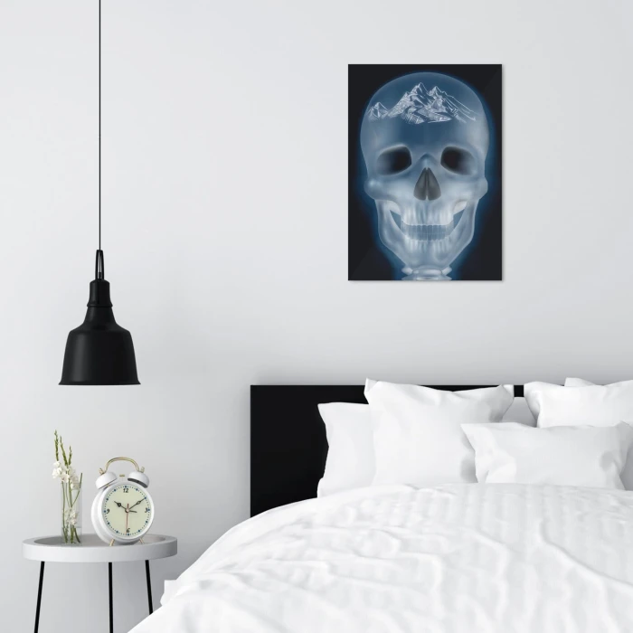 Poster metal xray mountains gift
